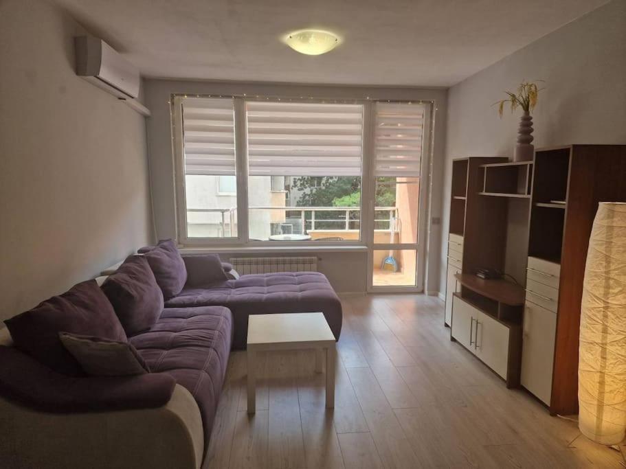Cozy Central Apartment In Outskirts Of Old סופיה מראה חיצוני תמונה